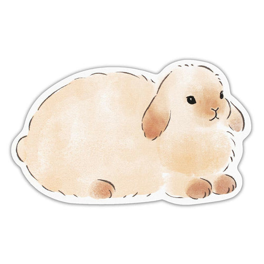 Set de 10 cartes - Lapin fluffy / message card