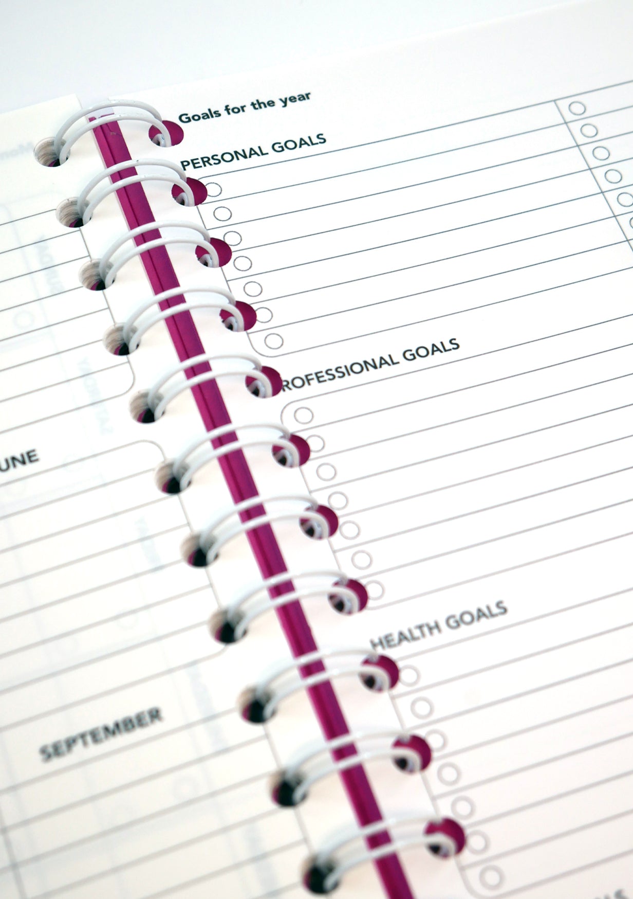 Agenda effaçable en papier-pierre - Pink version objectifs