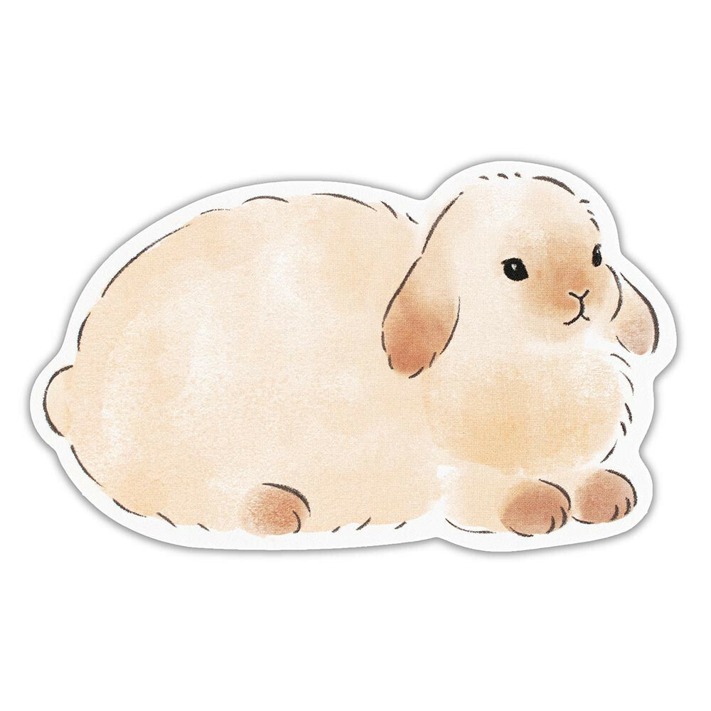 Set de 10 cartes - Lapin fluffy / message card