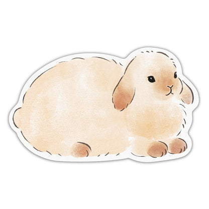 Set de 10 cartes - Lapin fluffy / message card