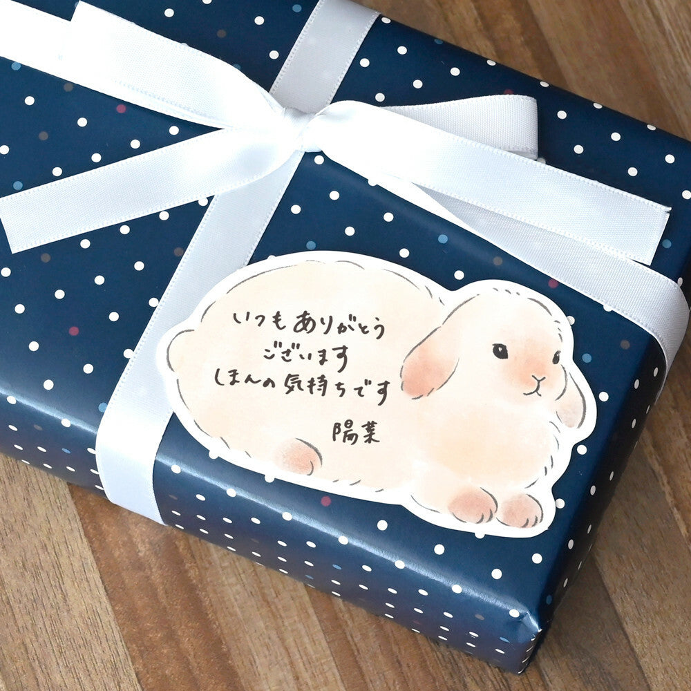 Set de 10 cartes - Lapin fluffy - cadeau