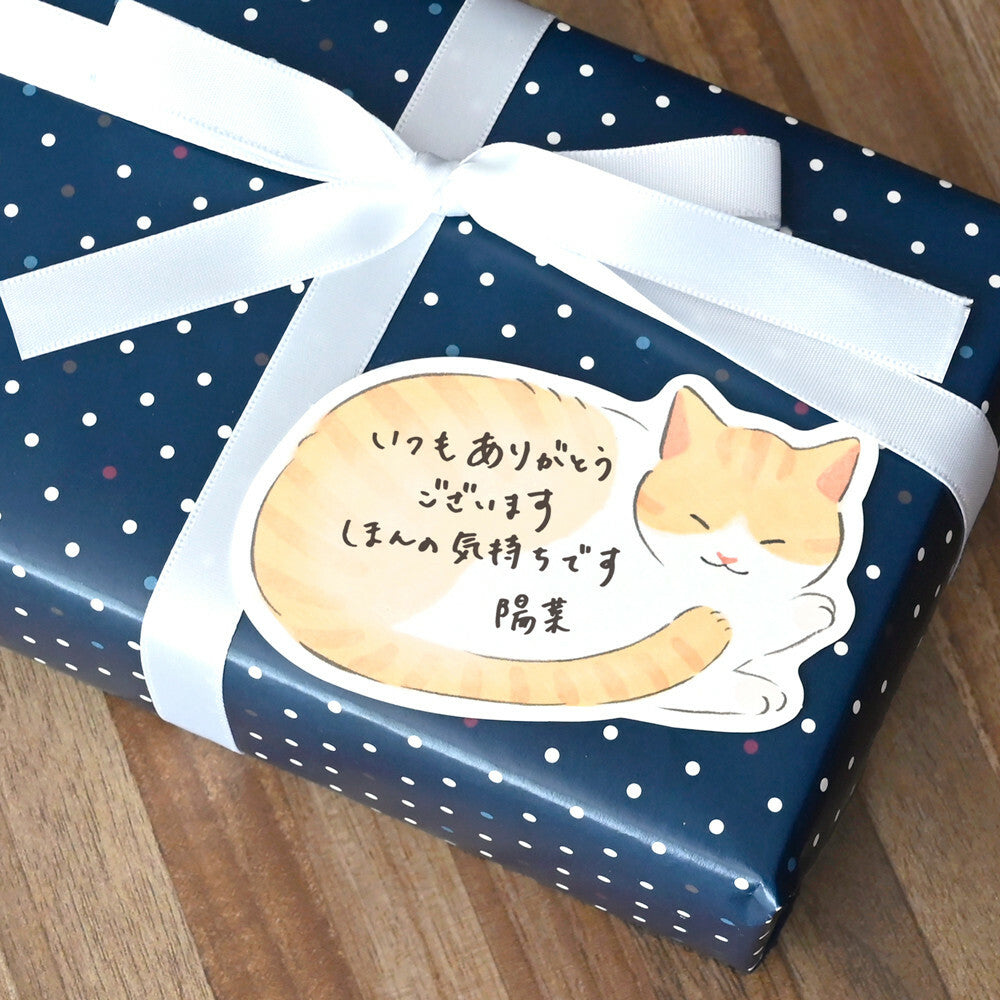 Set de 10 cartes - Chat fluffy - cadeau