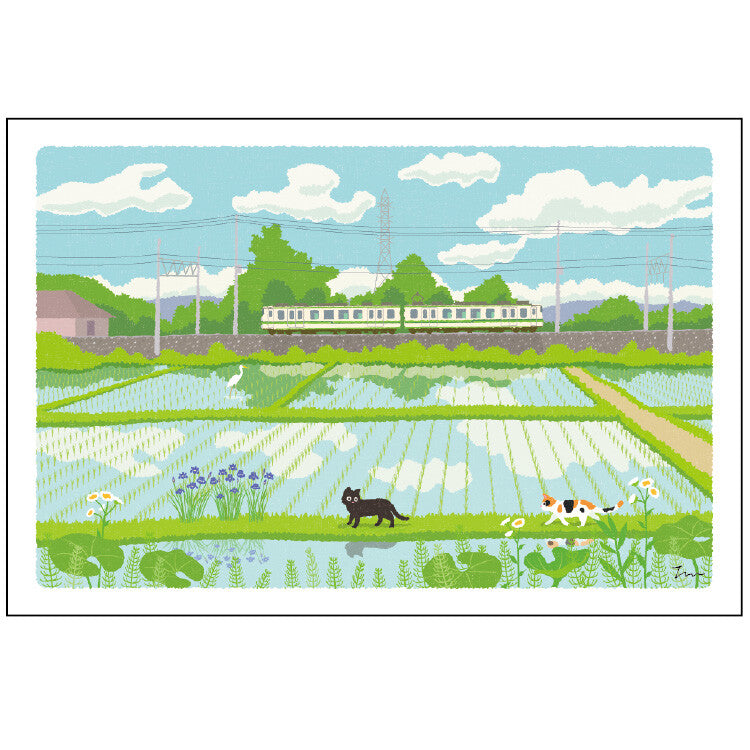 Carte Postale - Été Tabineko, rizière et train