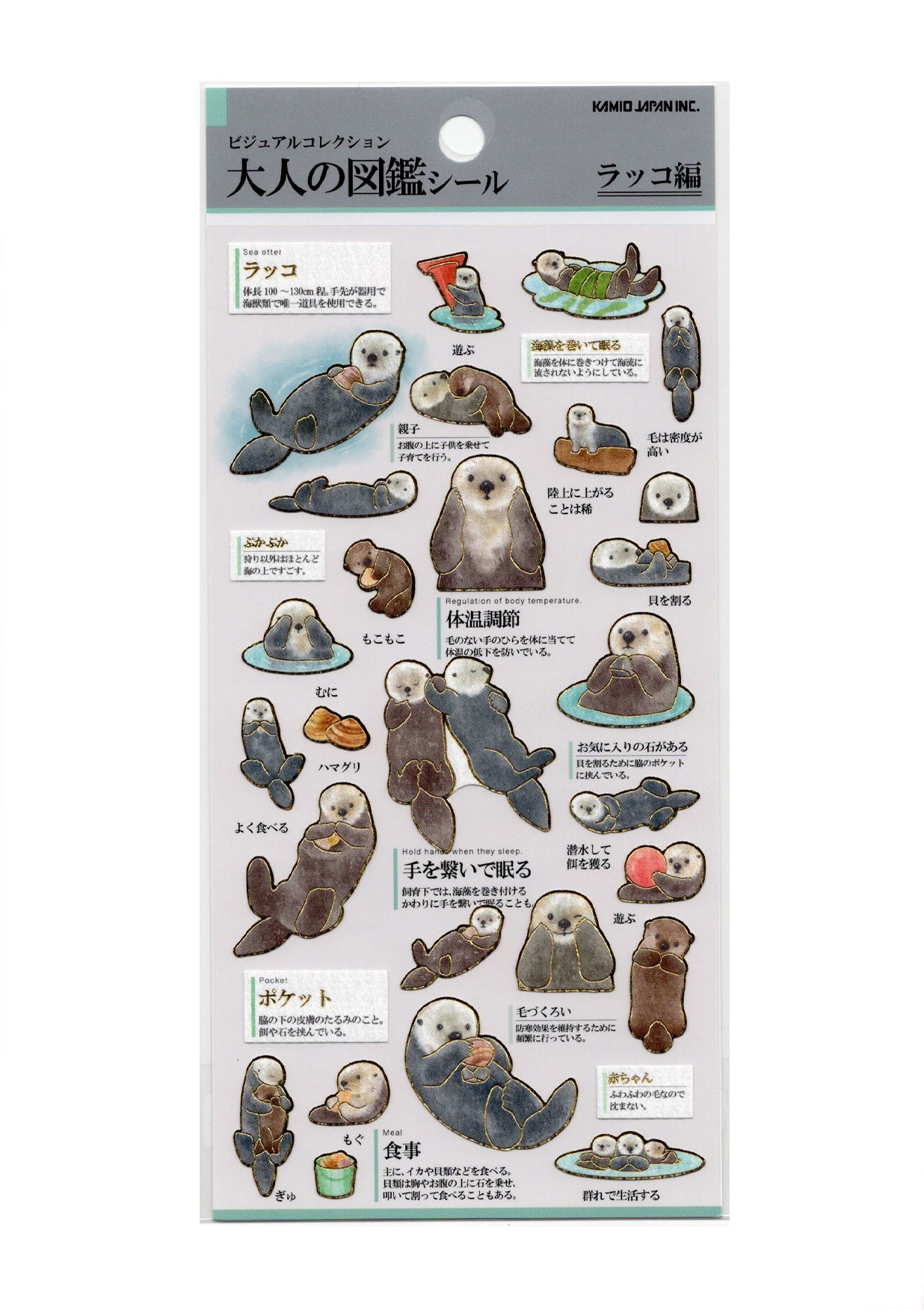 Stickers - Otonano-zukan - Loutre de mer