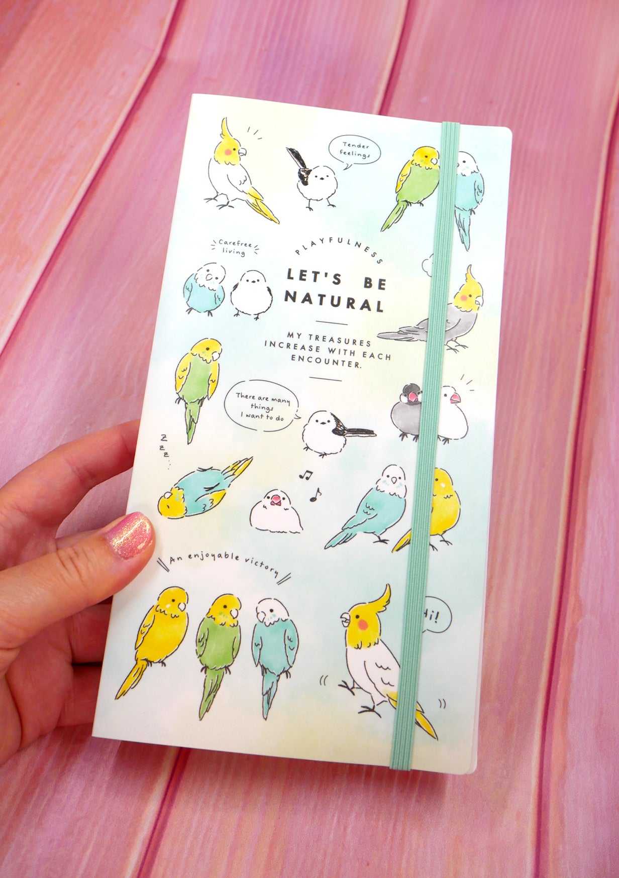 Pochette de rangement pour planches de stickers - Oiseaux